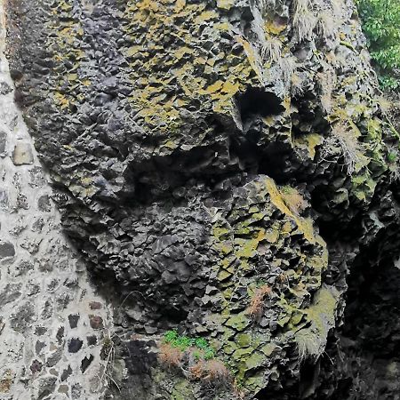 Gite 4 Pers Avec Cour, Vue Loire - Fr-1-582-122 Arlempdes Екстер'єр фото